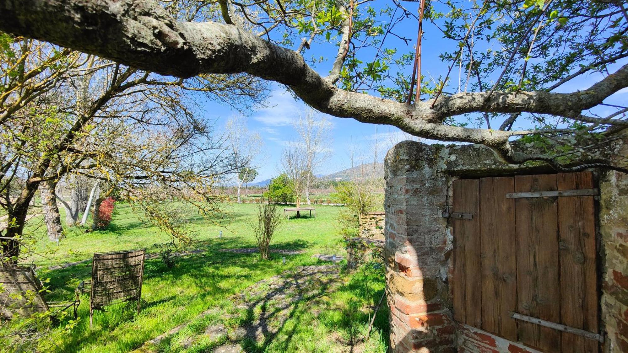 Casale Alcinoo - Rustico Villa Tuoro sul Trasimeno Eksteriør bilde