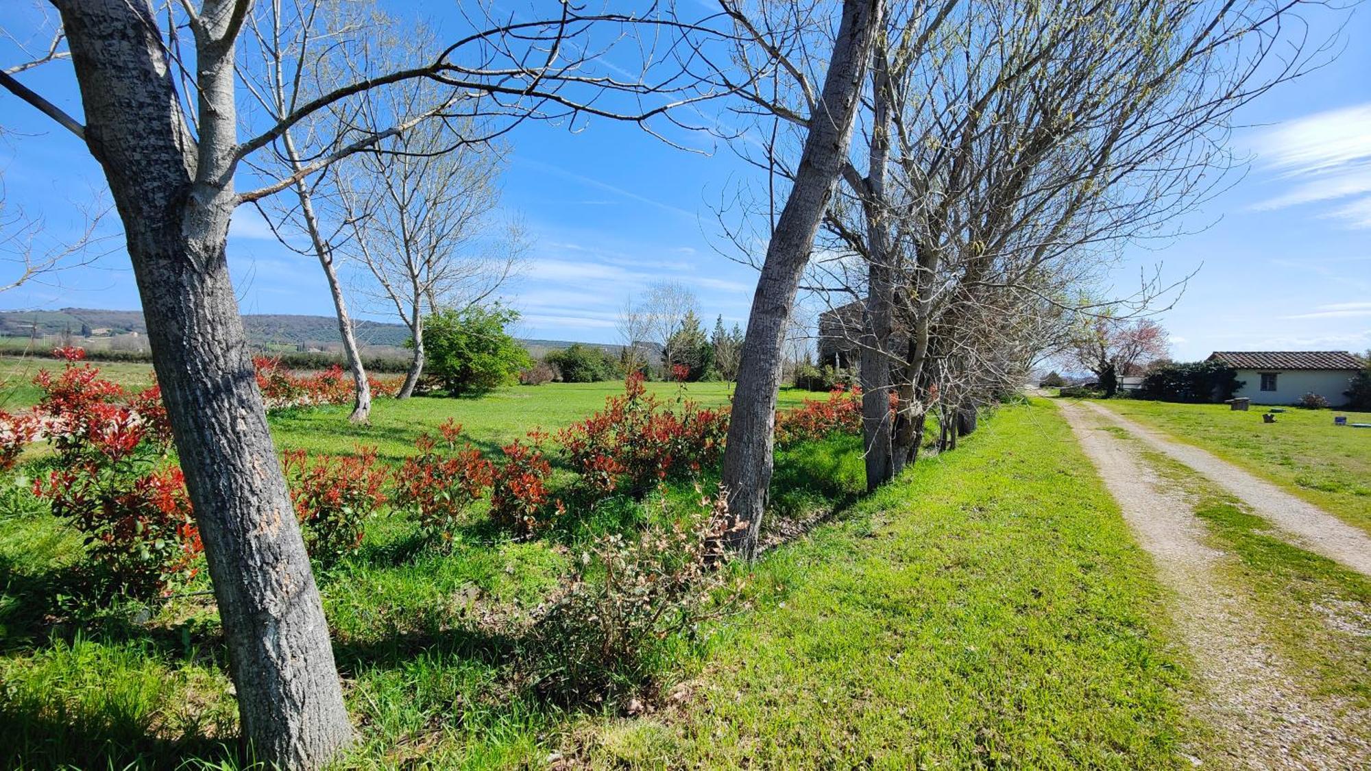 Casale Alcinoo - Rustico Villa Tuoro sul Trasimeno Eksteriør bilde